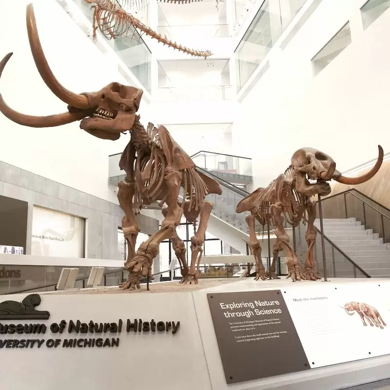 University of Michigan Museum of Natural History