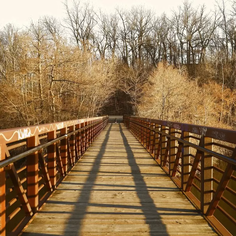 Barton Nature Area