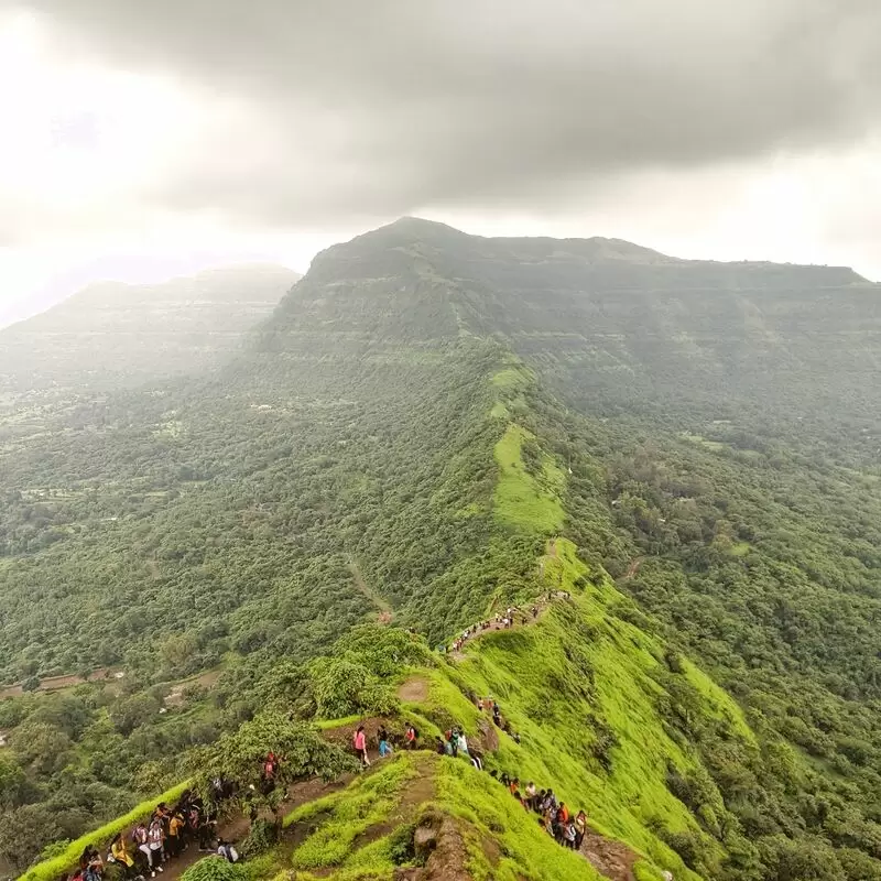 Tikona Fort Vitandgad)