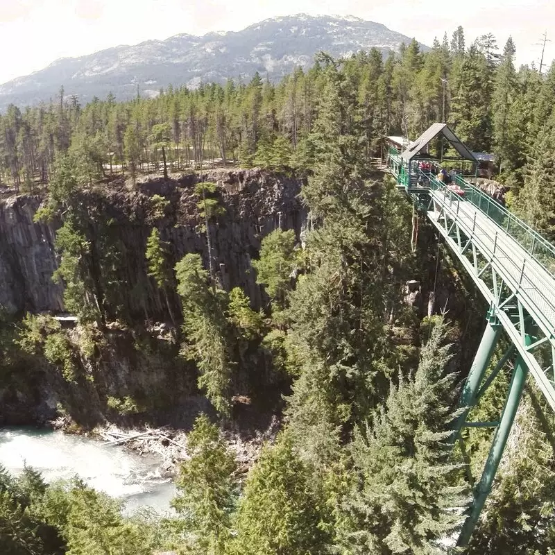 Whistler Bungee Bridge