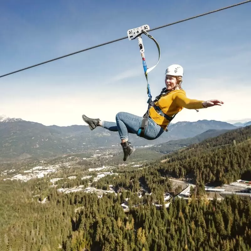 Ziptrek Ecotours