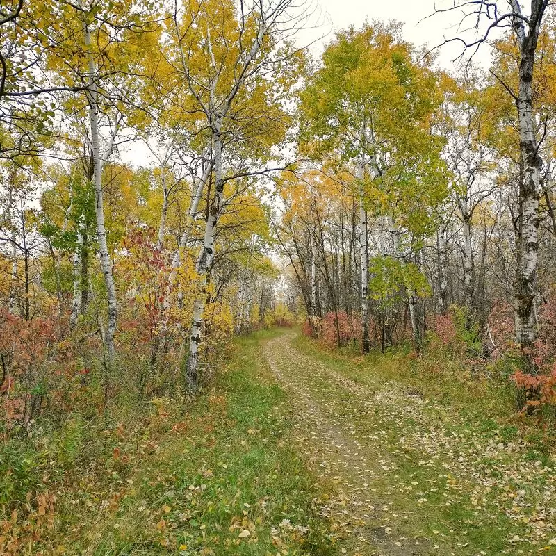 Birds Hill Provincial Park