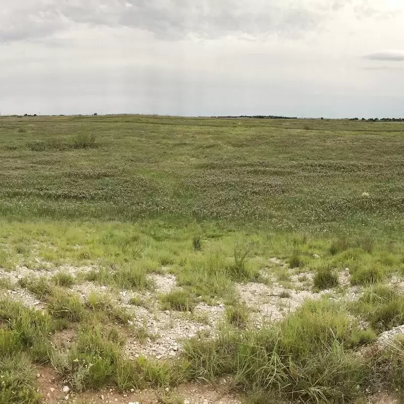 Lubbock Lake National Historic Landmark