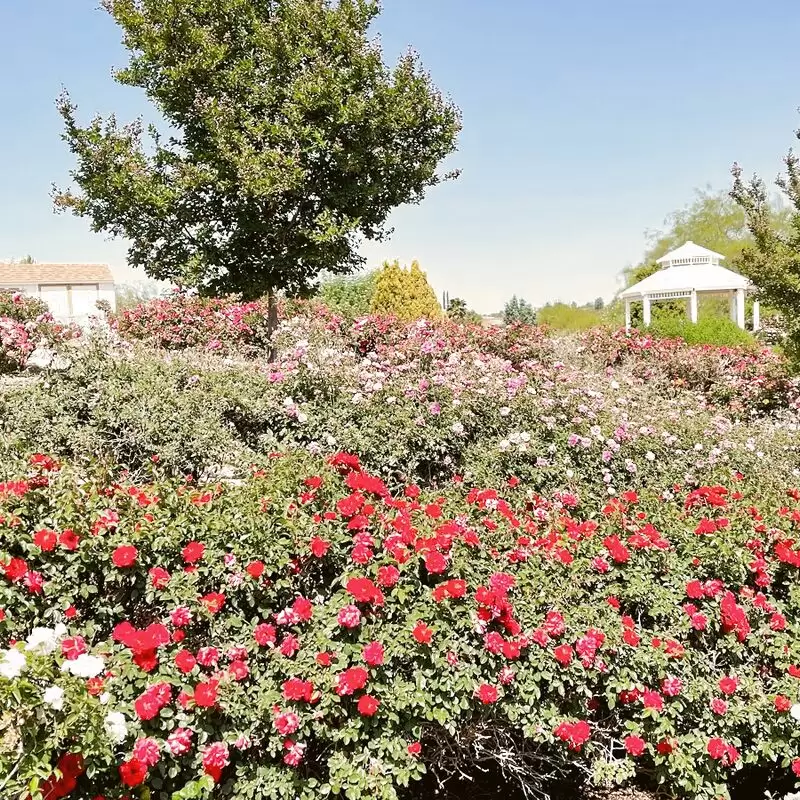 Rose Haven Heritage Garden