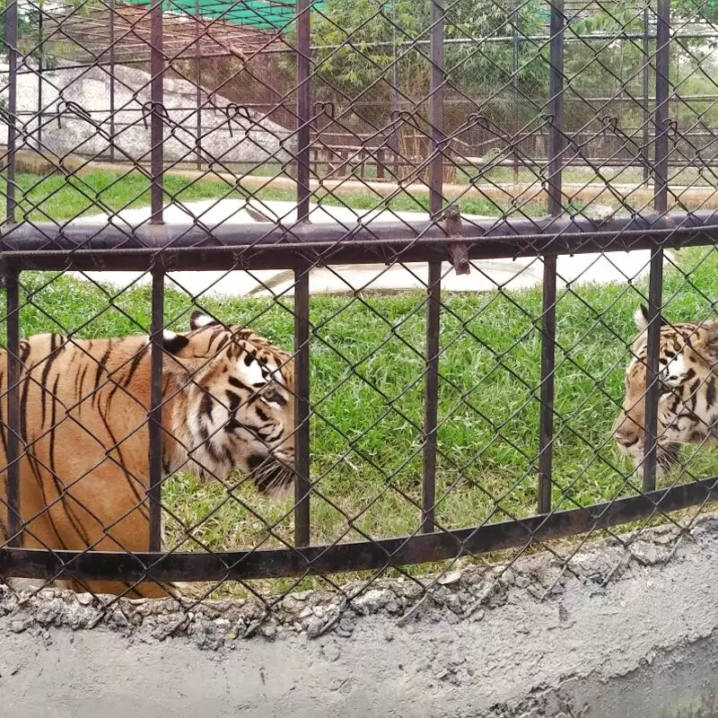 Arignar Anna Zoological Park