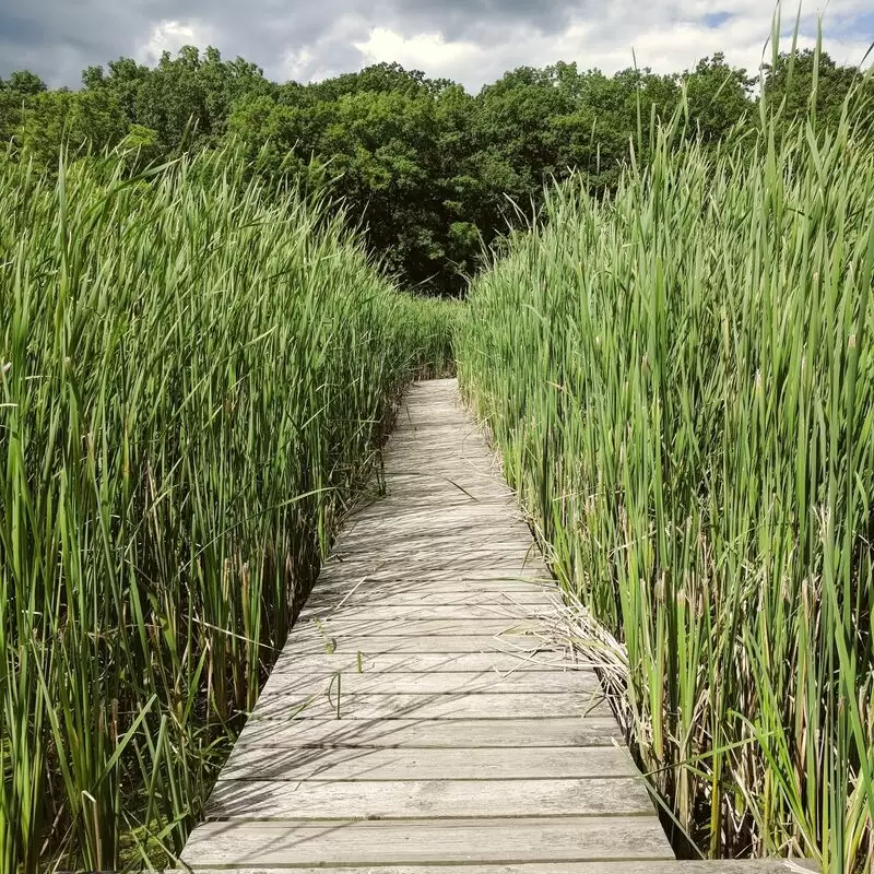 RBG Cootes Paradise Sanctuary