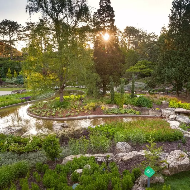 Royal Botanical Gardens Rock Garden