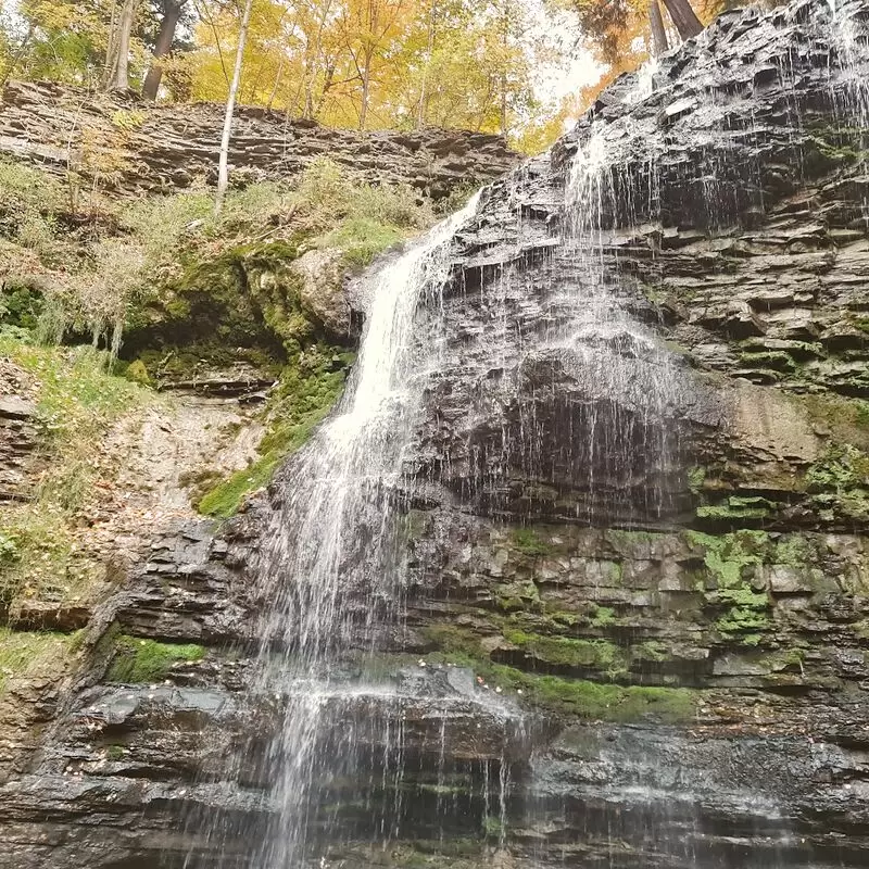 Tiffany Falls Conservation Area