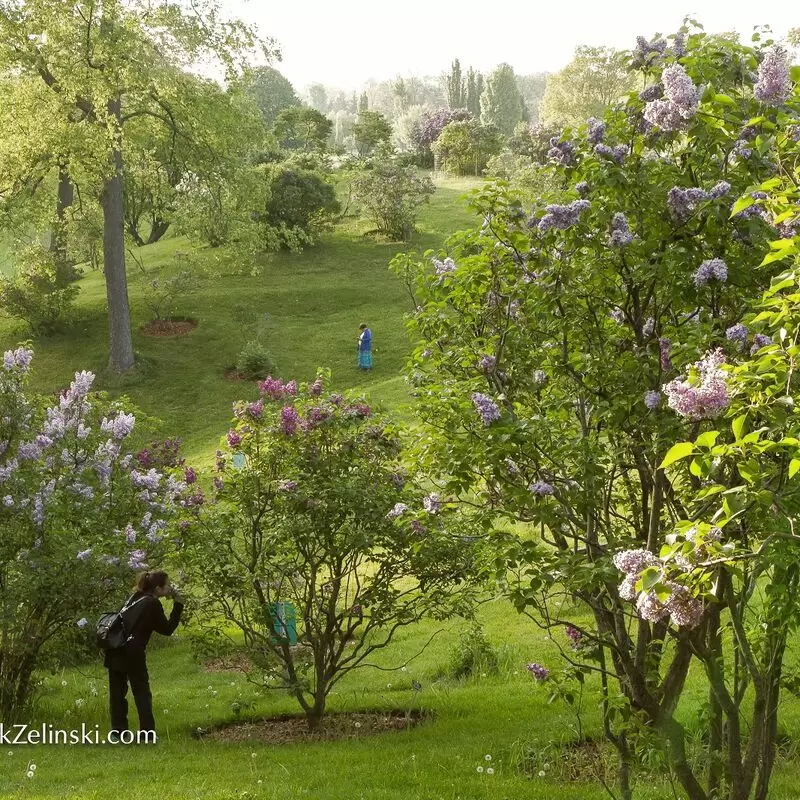 Royal Botanical Gardens Arboretum