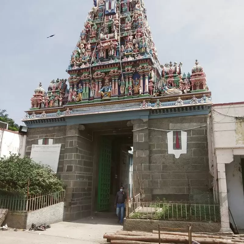 Arulmigu Sri Parthasarathy Perumal Temple Tiruvallikeni