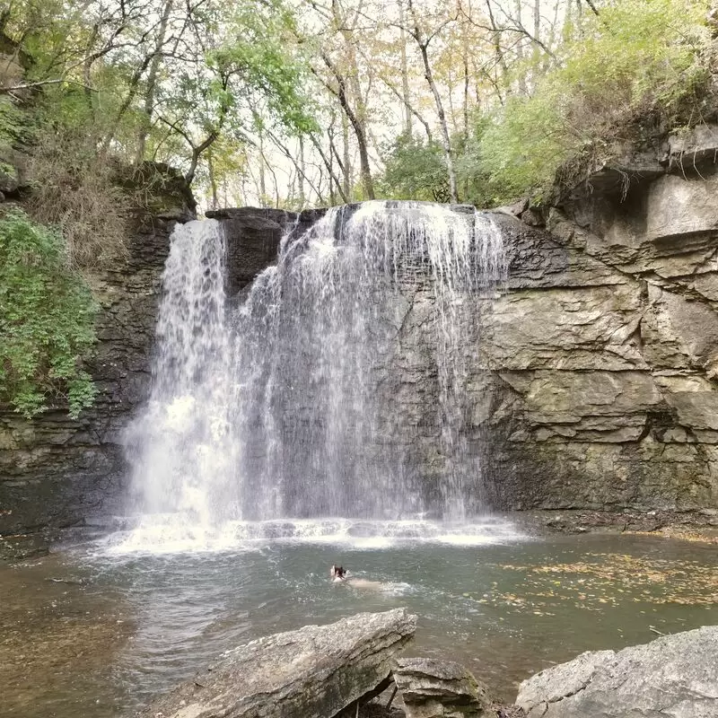 Hayden Falls Park