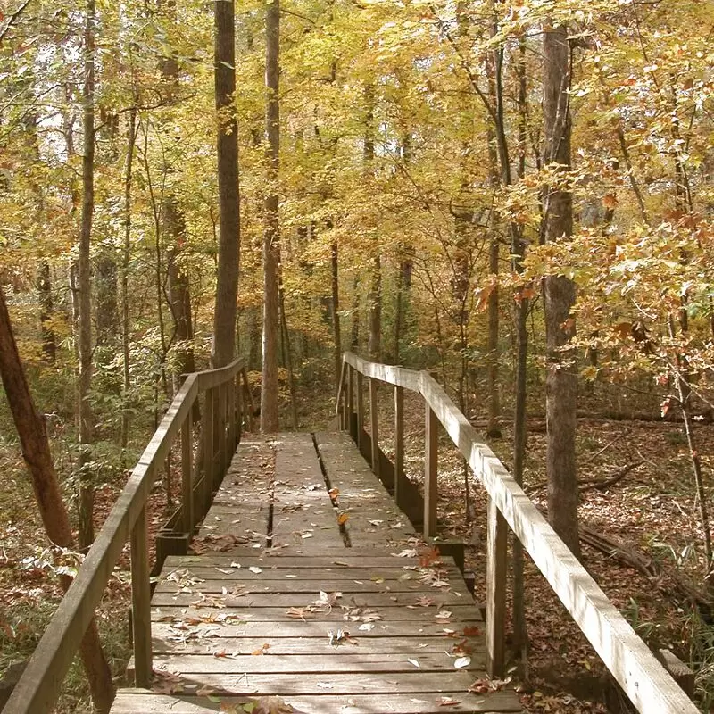 Walter B Jacobs Memorial Nature Park