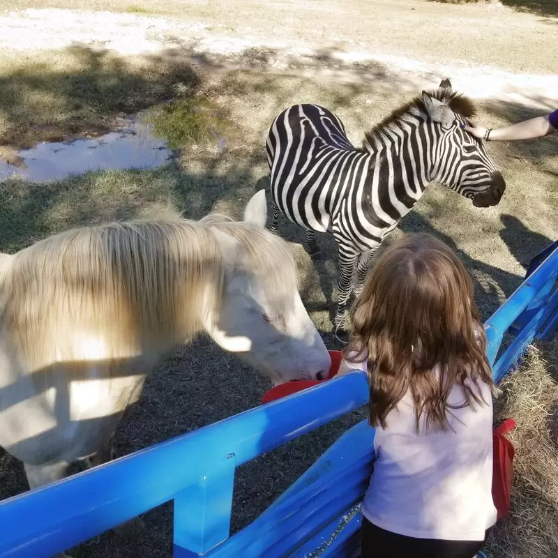 Jubilee Zoo Petting Zoo & Play Place