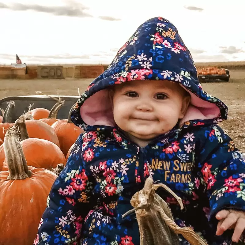 New Sweden Farms Idaho Falls Corn Maze and Pumpkin Patch