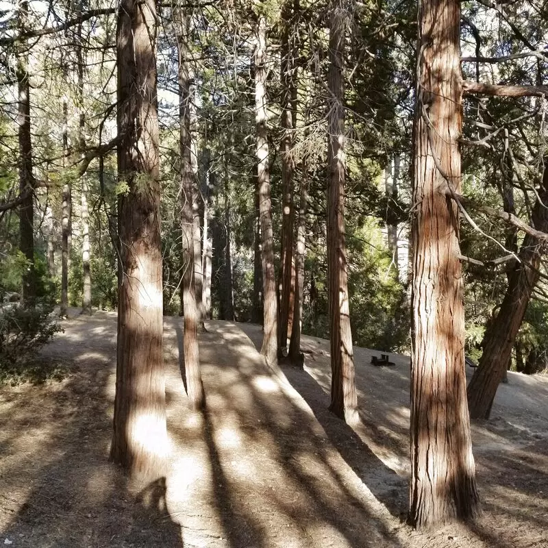 Idyllwild Regional Park