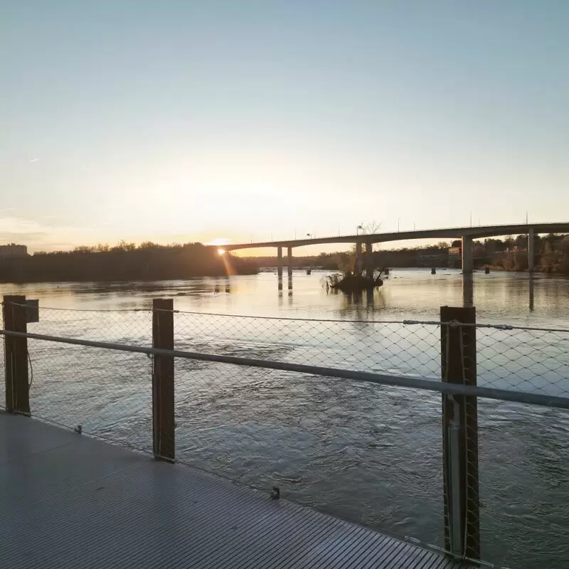 T. Tyler Potterfield Memorial Bridge