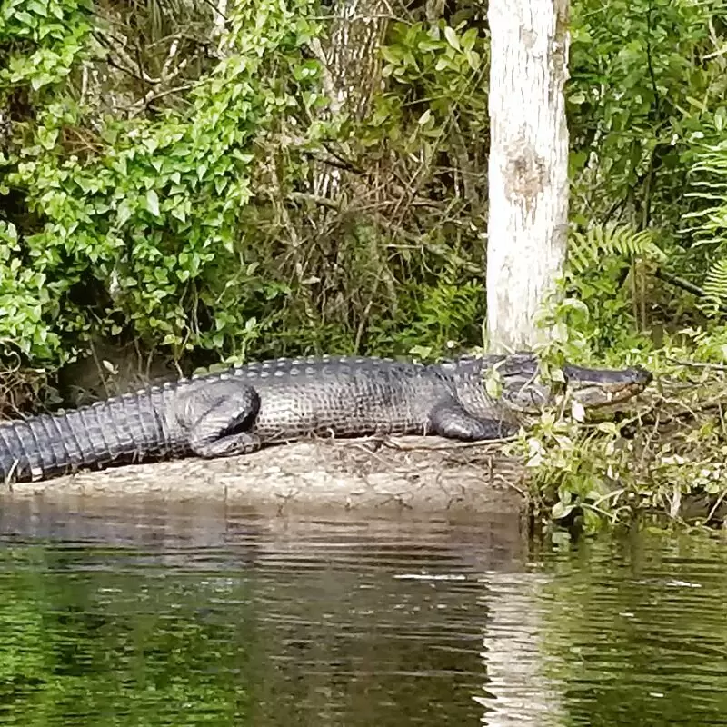 Halpatiokee Regional Park