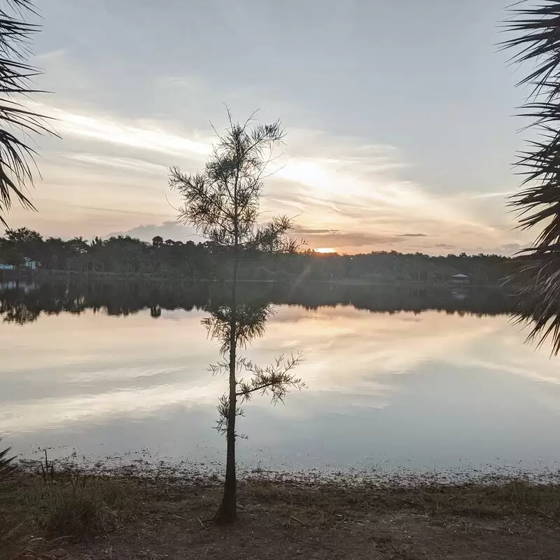 Woodstork Trail Hillmoor Lake Park