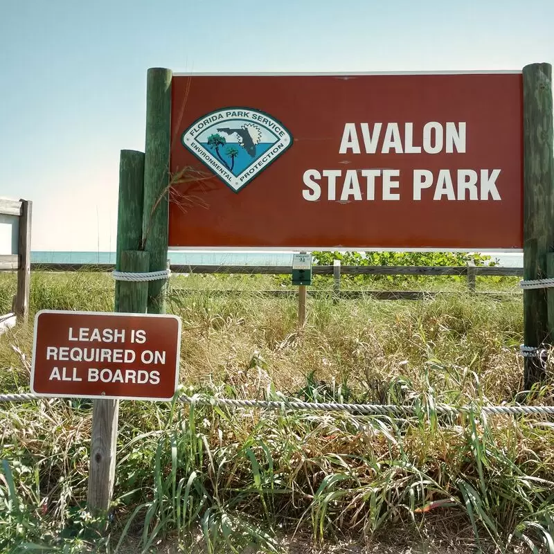 Avalon State Park