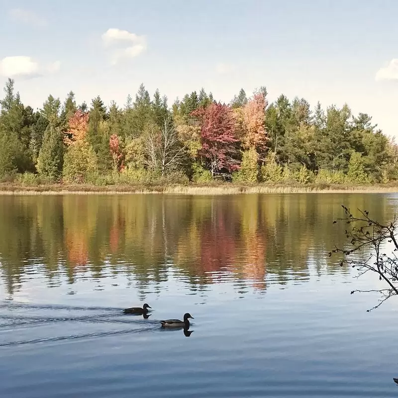 Irishtown Nature Park