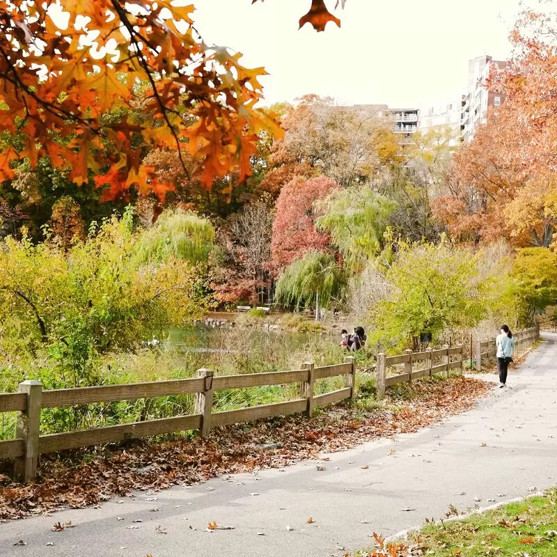 Alley Pond Park