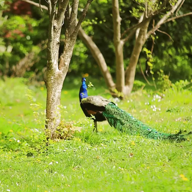 Staten Island Zoo