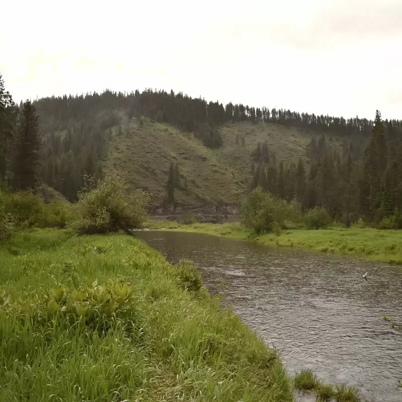 Coeur d'Alene National Forest