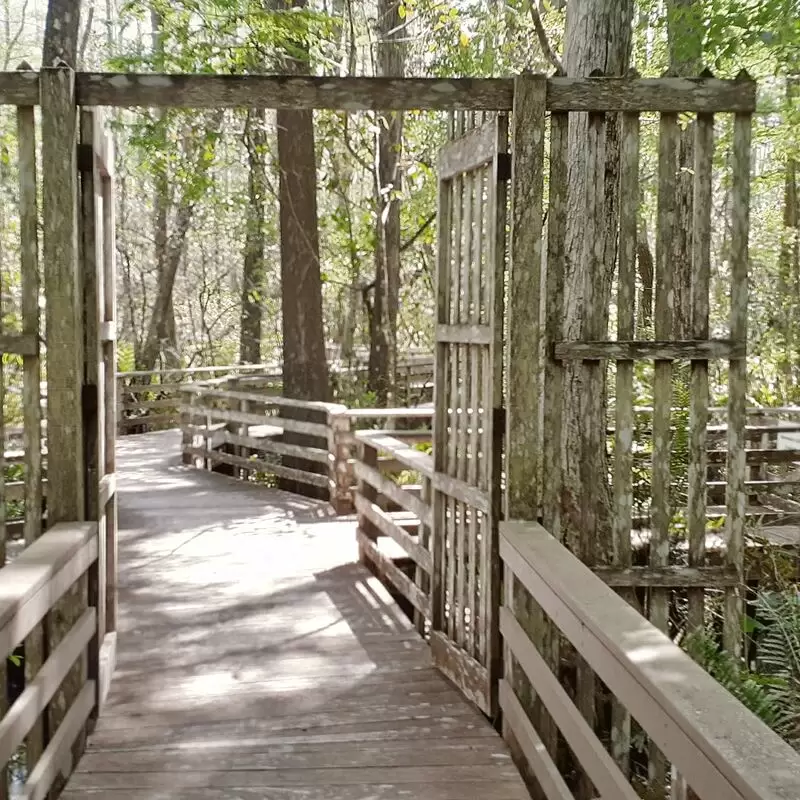 Audubon Corkscrew Swamp Sanctuary ONLINE TICKETS RECOMMENDED