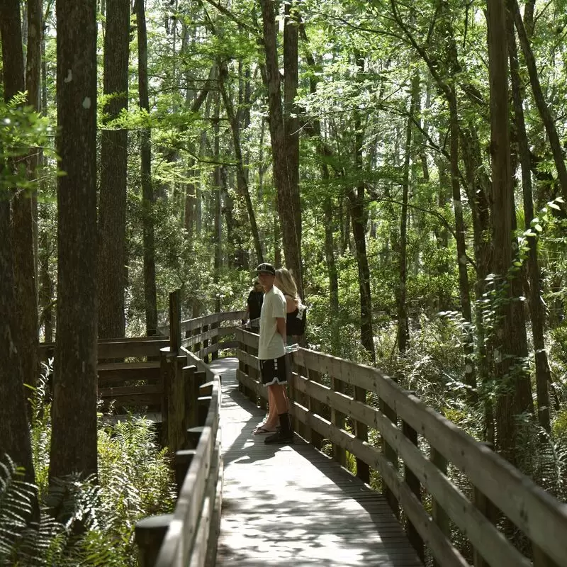 Six Mile Cypress Slough Preserve