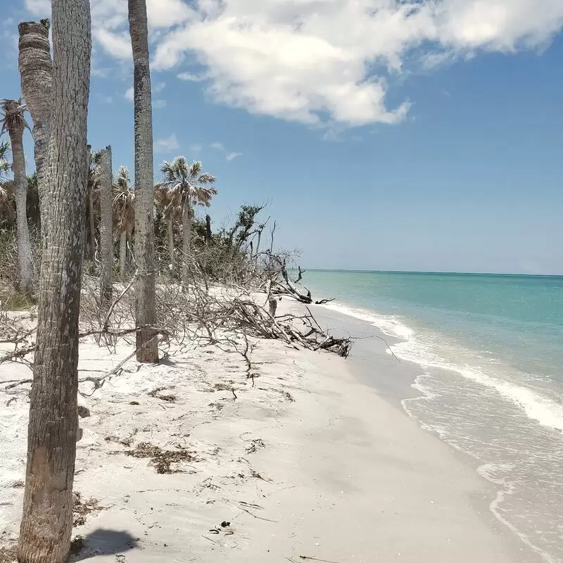 Cayo Costa State Park