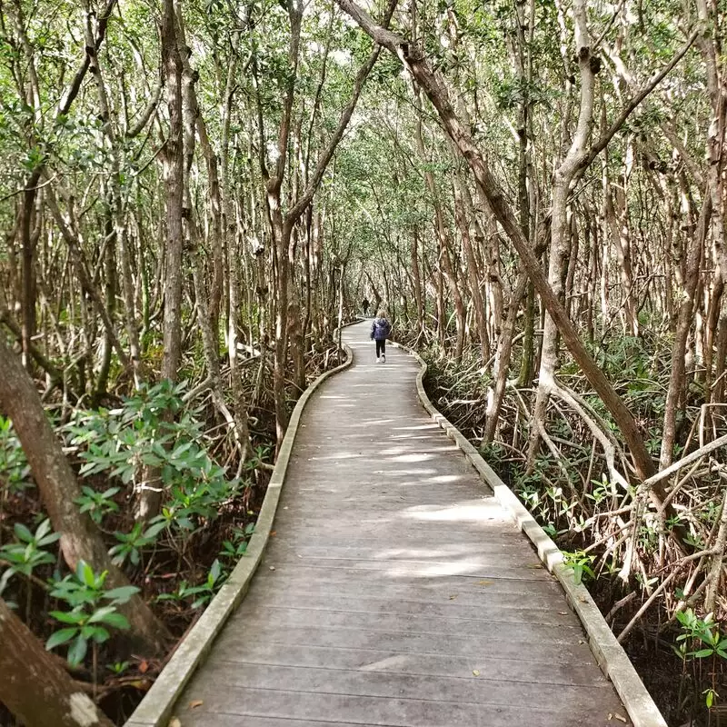 Four Mile Cove Ecological Preserve