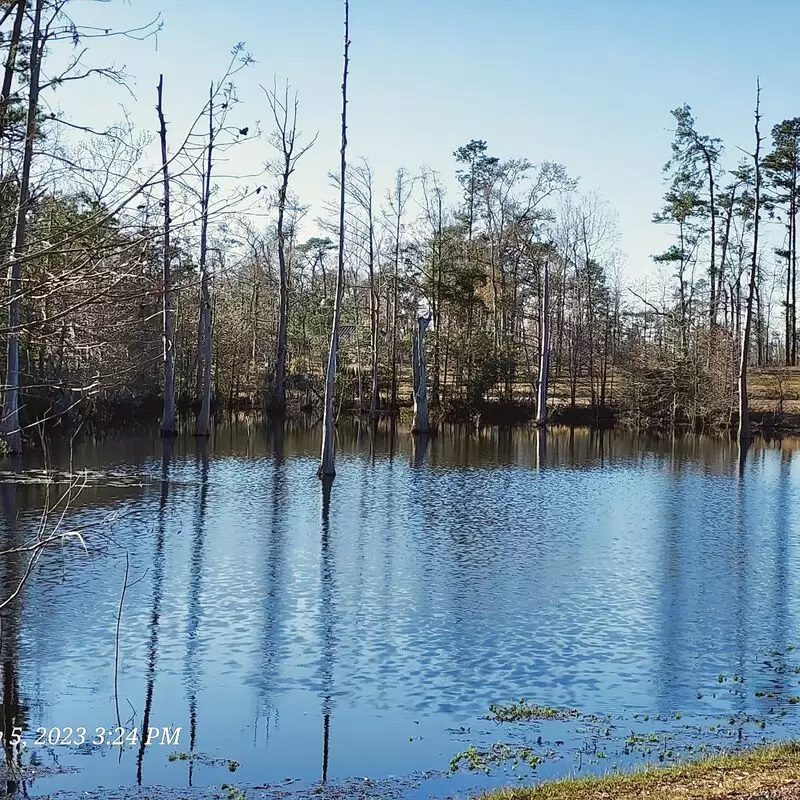 Sam Houston Jones State Park