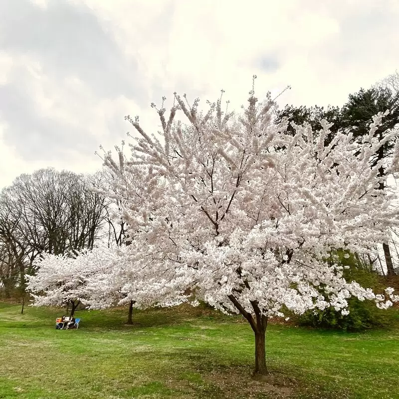 Branch Brook Park