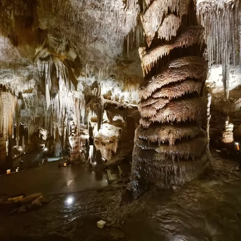 Tantanoola Caves Conservation Park